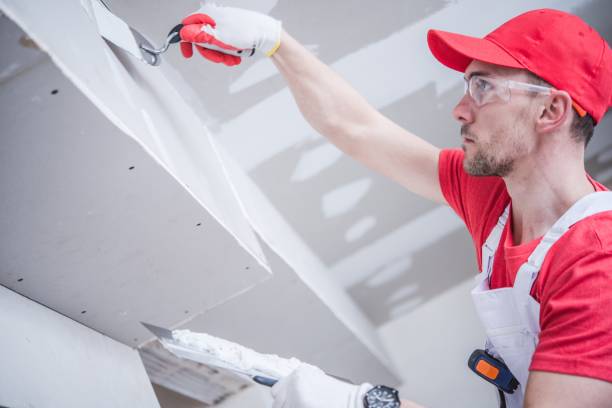 South Chicago Heights, IL Drywall & Painting Services Company